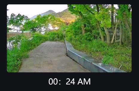 Zien in het donker: een eenvoudige gids voor nachtzichtbeveiliging Black Light-camera's